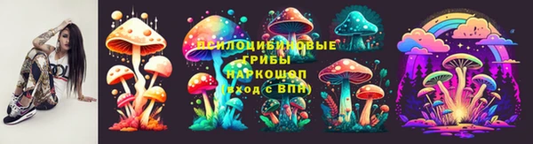 прущие грибы Инта
