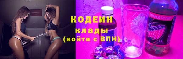 прущие грибы Инта