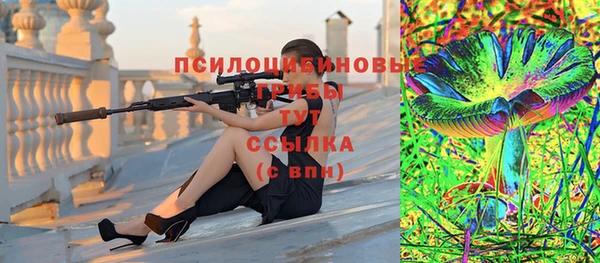 прущие грибы Инта