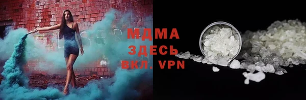 прущие грибы Инта