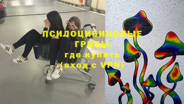 прущие грибы Инта
