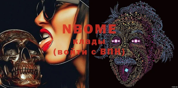 прущие грибы Инта