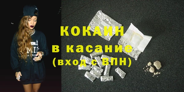 прущие грибы Инта