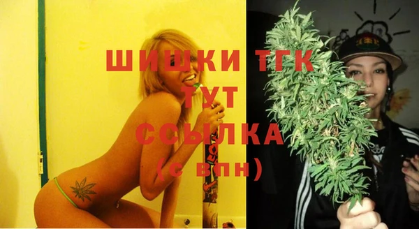 твердый Каменск-Шахтинский